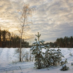 Предзакатный пейзаж